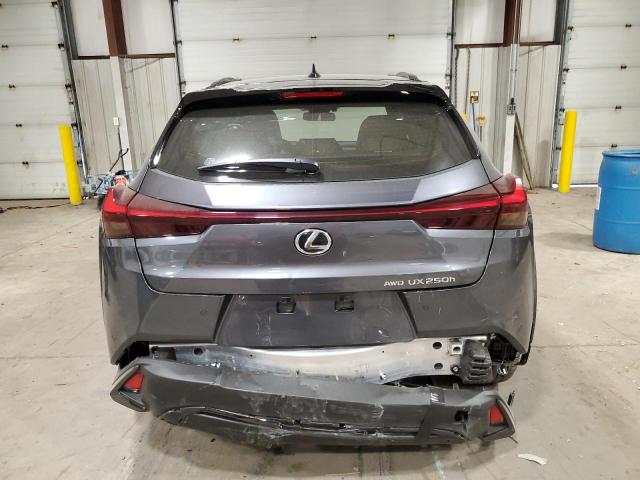 2024 LEXUS UX 250H BA - JTHB9JBH6R2074336