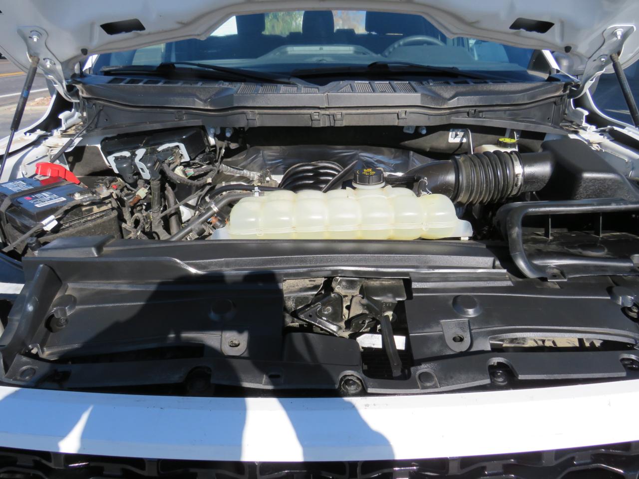 VIN: 1FTFX1E51MKD73395 2021 FORD F-150
