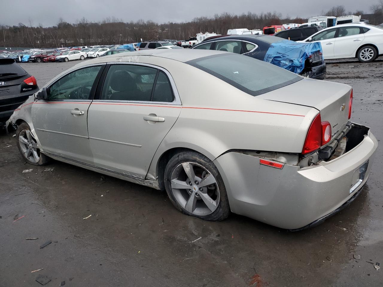 1G1ZC5E1XBF369423 2011 Chevrolet Malibu 1Lt