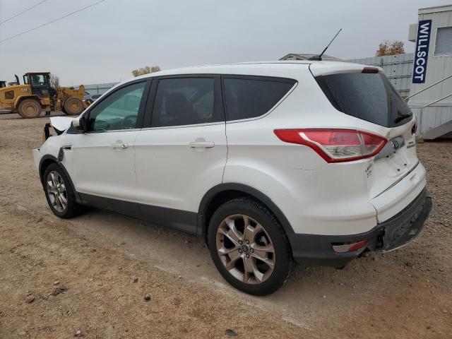 2013 Ford Escape Sel VIN: 1FMCU0H90DUA39928 Lot: 75779523