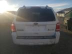 FORD ESCAPE HYB photo