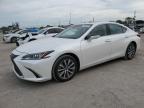 2019 LEXUS ES 350 - 58ABZ1B13KU018714
