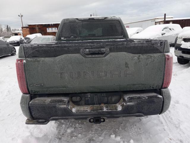 2023 TOYOTA TUNDRA 4WD - 5TFLA5DB0PX073941