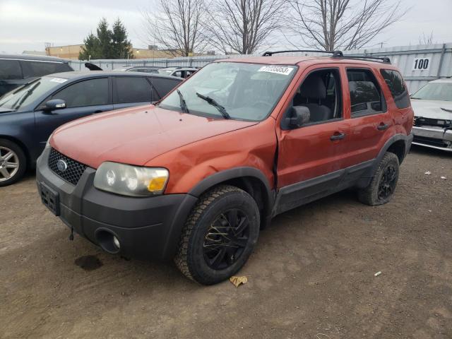 2007 Ford Escape Xlt VIN: 1FMYU03137KA47772 Lot: 77235053