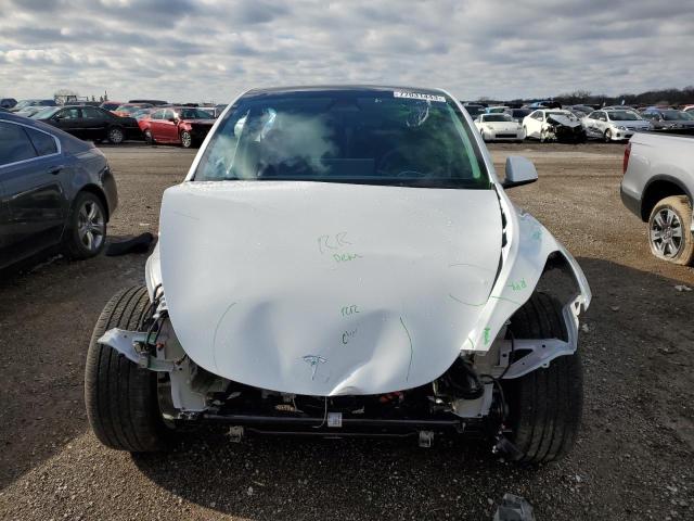 7SAYGAEE6PF800096 | 2023 TESLA MODEL Y