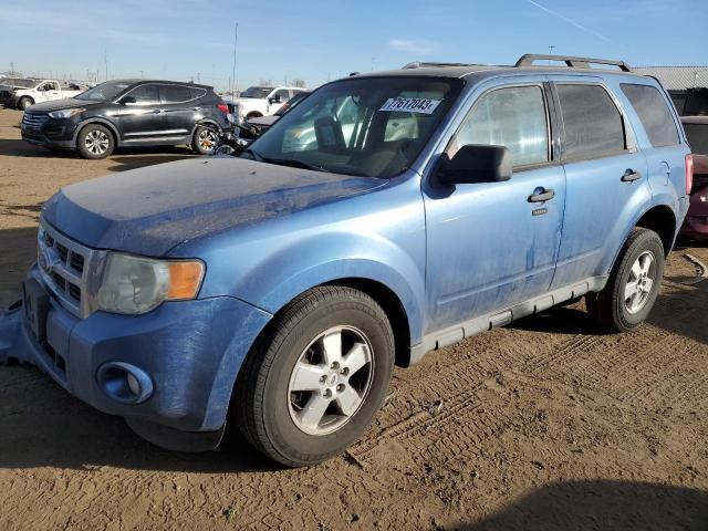 2010 Ford Escape XLT