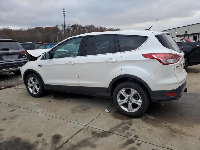 1FMCU0G96EUE24011 | 2014 FORD ESCAPE SE