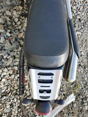 2019 TRIUMPH MOTORCYCLE STREET SCR - SMTD44GN1KT925002