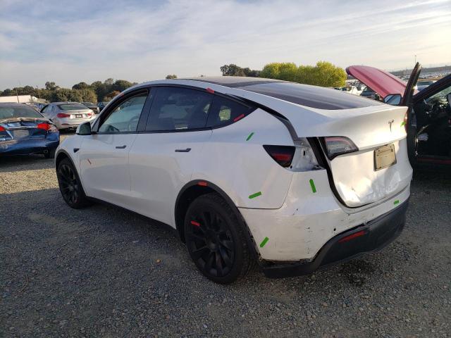 7SAYGDEE6NF561860 | 2022 Tesla model y