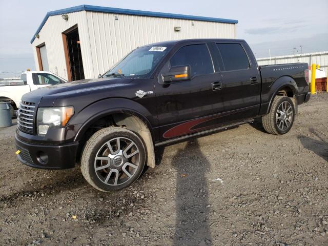 Vin: 1ftfw1evxafc40206, lot: 74638653, ford f-150 supercrew 20101