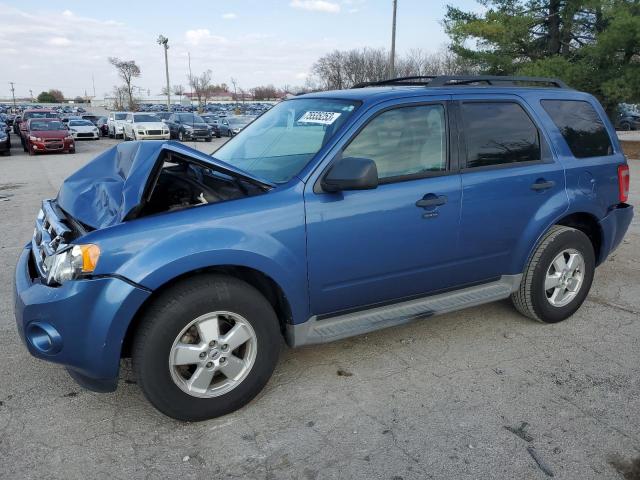 Vin: 1fmcu0d79akc64361, lot: 75535253, ford escape xlt 2010 img_1