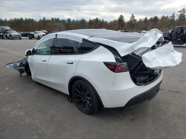 7SAYGDEE3PF746127 | 2023 TESLA MODEL Y