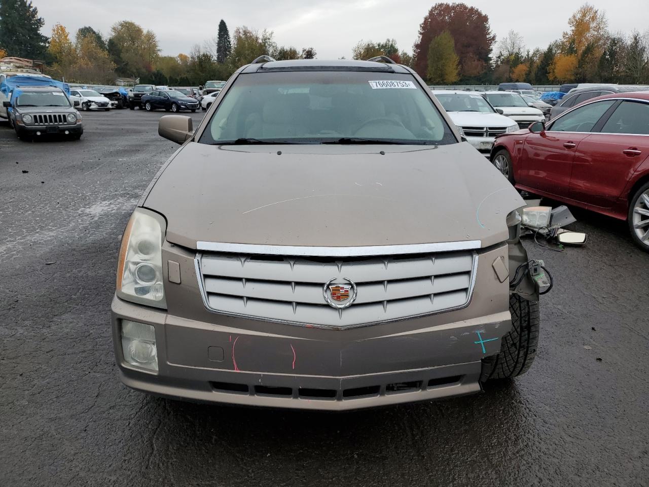 1GYEE63A360153456 2006 Cadillac Srx