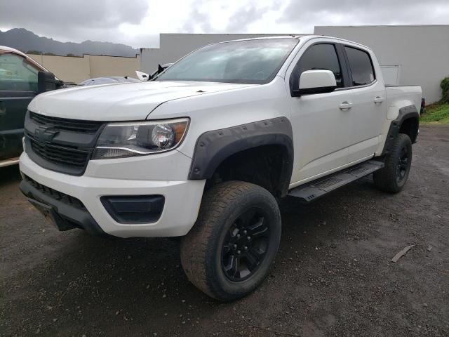 2019 Chevrolet Colorado L  (VIN: 1GCGTCEN9K1117309)