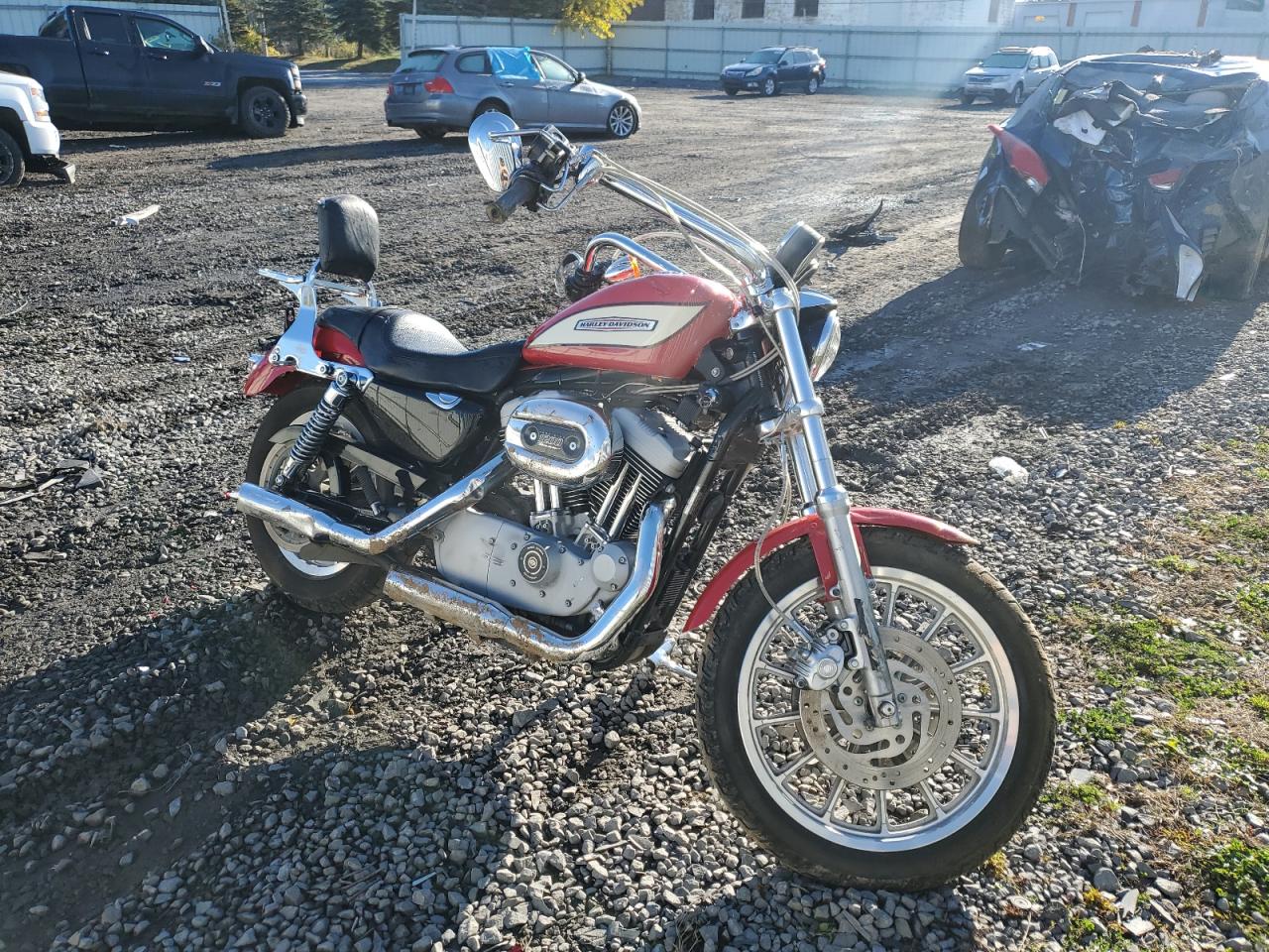 2004 2024 sportster roadster