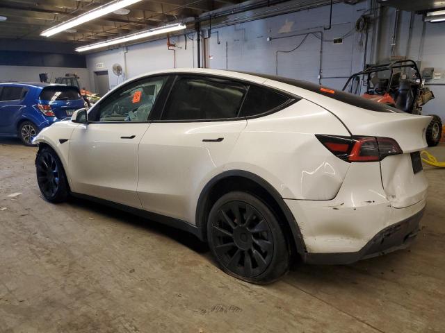 5YJYGDEE7LF039894 | 2020 TESLA MODEL Y