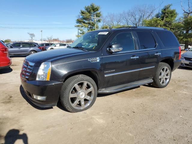 2011 Cadillac Escalade Luxury