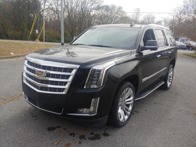 1GYS3CKJ8KR257794 Cadillac Escalade P 2