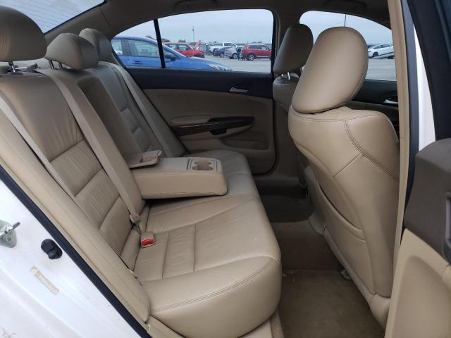 2008 HONDA ACCORD EXL #3263736701