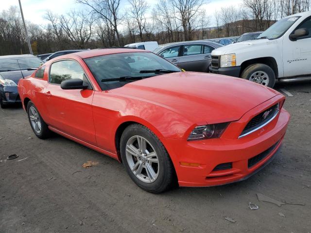 1ZVBP8AM8E5316242 | 2014 FORD MUSTANG