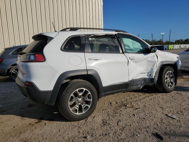 1C4PJMBX1LD528818 Jeep Cherokee Trailhawk