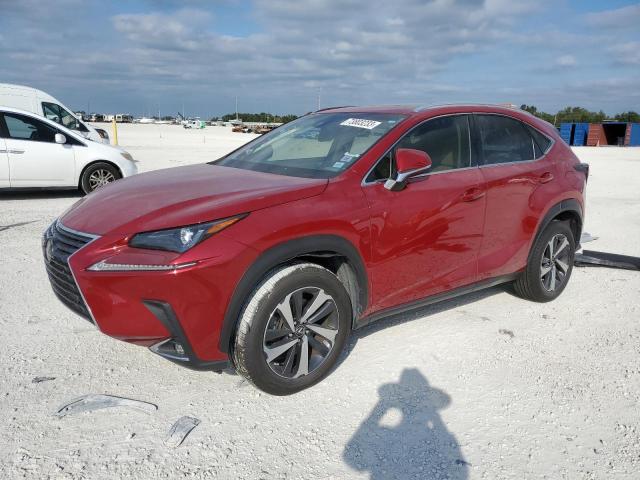 2019 Lexus NX 