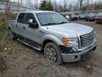 FORD F150 photo