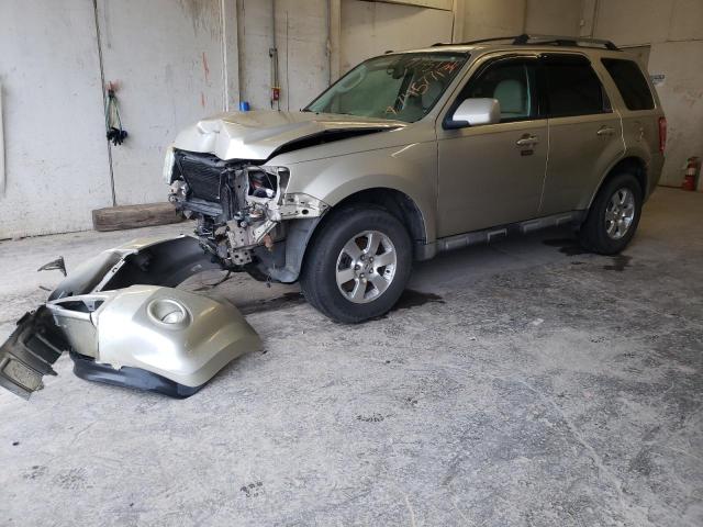 Vin: 1fmcu9eg2akc85474, lot: 77457713, ford escape limited 2010 img_1