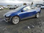 2020 TESLA MODEL Y VIN:5YJYGDEE1LF024789
