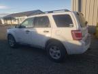 FORD ESCAPE HYB photo