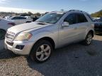 MERCEDES-BENZ ML 350 photo