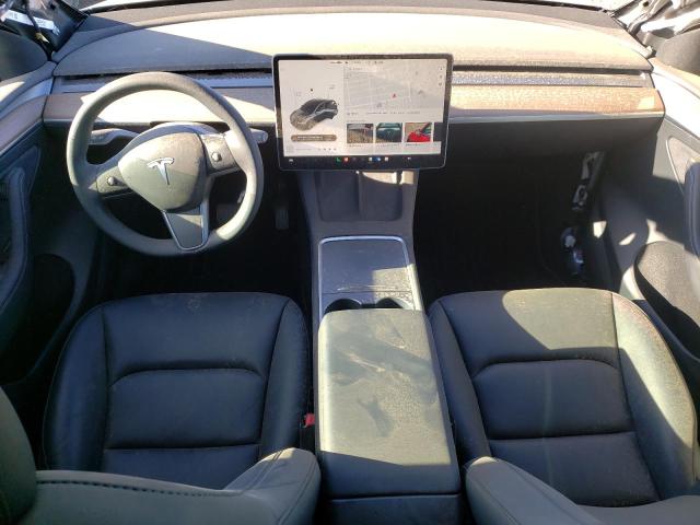 2023 TESLA MODEL Y - 7SAYGAEE1PF669093