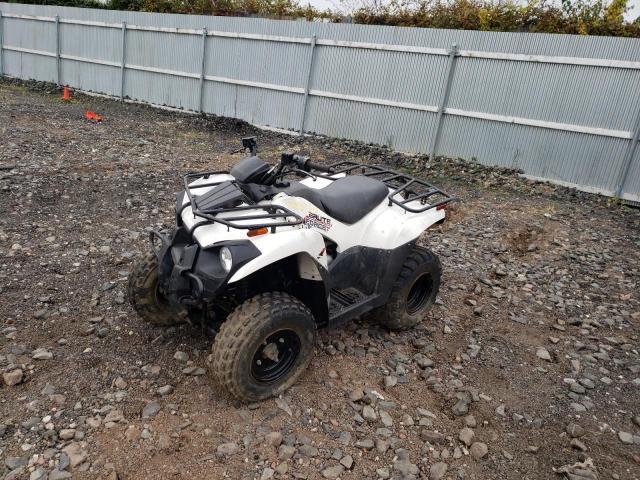 2021 KAWASAKI KVF300 C - RGSWM2237MBE93292