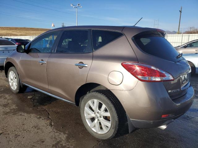 2013 Nissan Murano S VIN: JN8AZ1MU1DW203144 Lot: 75011643