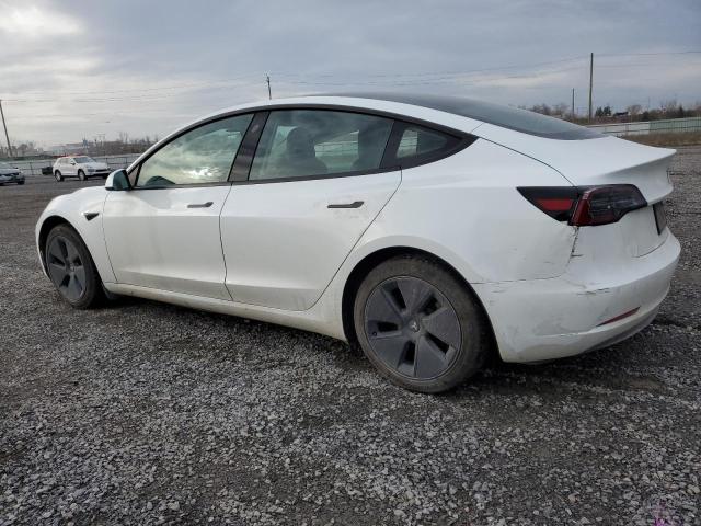 5YJ3E1EA9MF843417 | 2021 TESLA MODEL 3