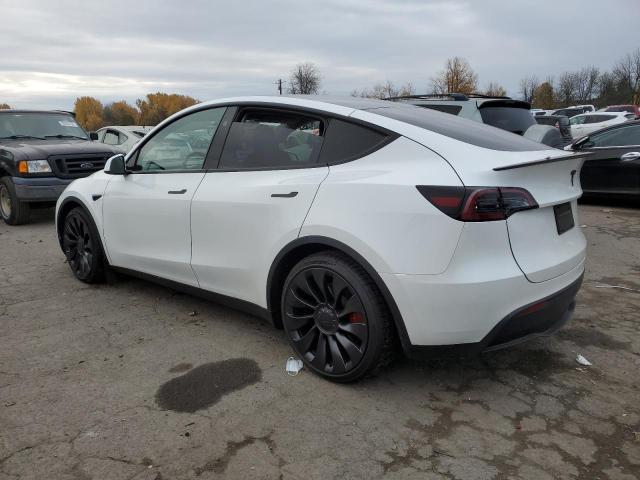 7SAYGDEF8PF812731 | 2023 TESLA MODEL Y