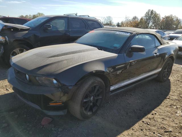 Lot #2461562339 2010 FORD MUSTANG GT salvage car