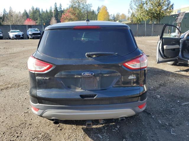 Lot #2195994537 2014 FORD ESCAPE SE salvage car