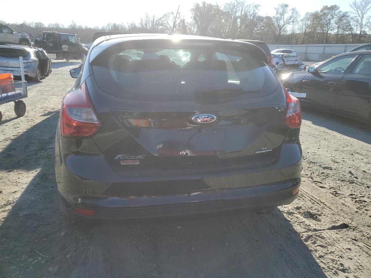 1FADP3K20DL216860 2013 Ford Focus Se