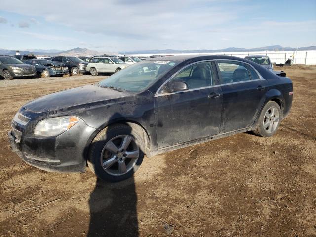 2010 Chevrolet Malibu 