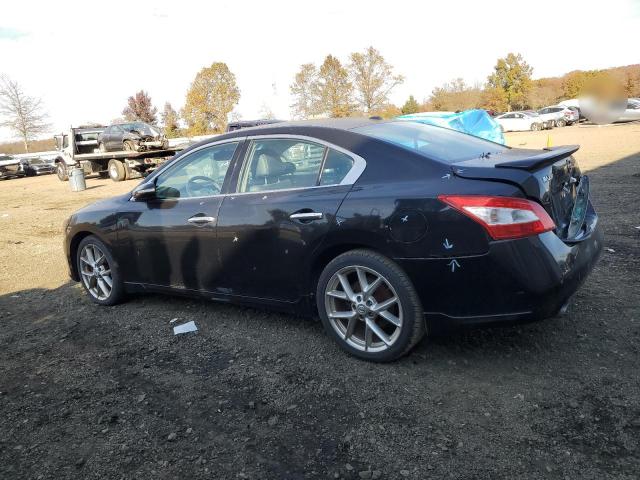 2010 Nissan Maxima S VIN: 1N4AA5APXAC866109 Lot: 75366483