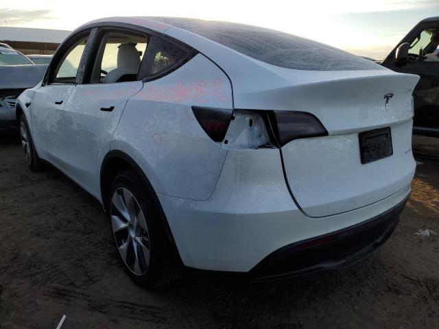 7SAYGDEEXPF666128 | 2023 TESLA MODEL Y