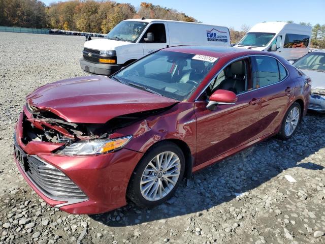 2019 Toyota Camry Hybrid 