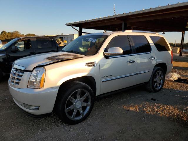 2011 Cadillac Escalade Premium