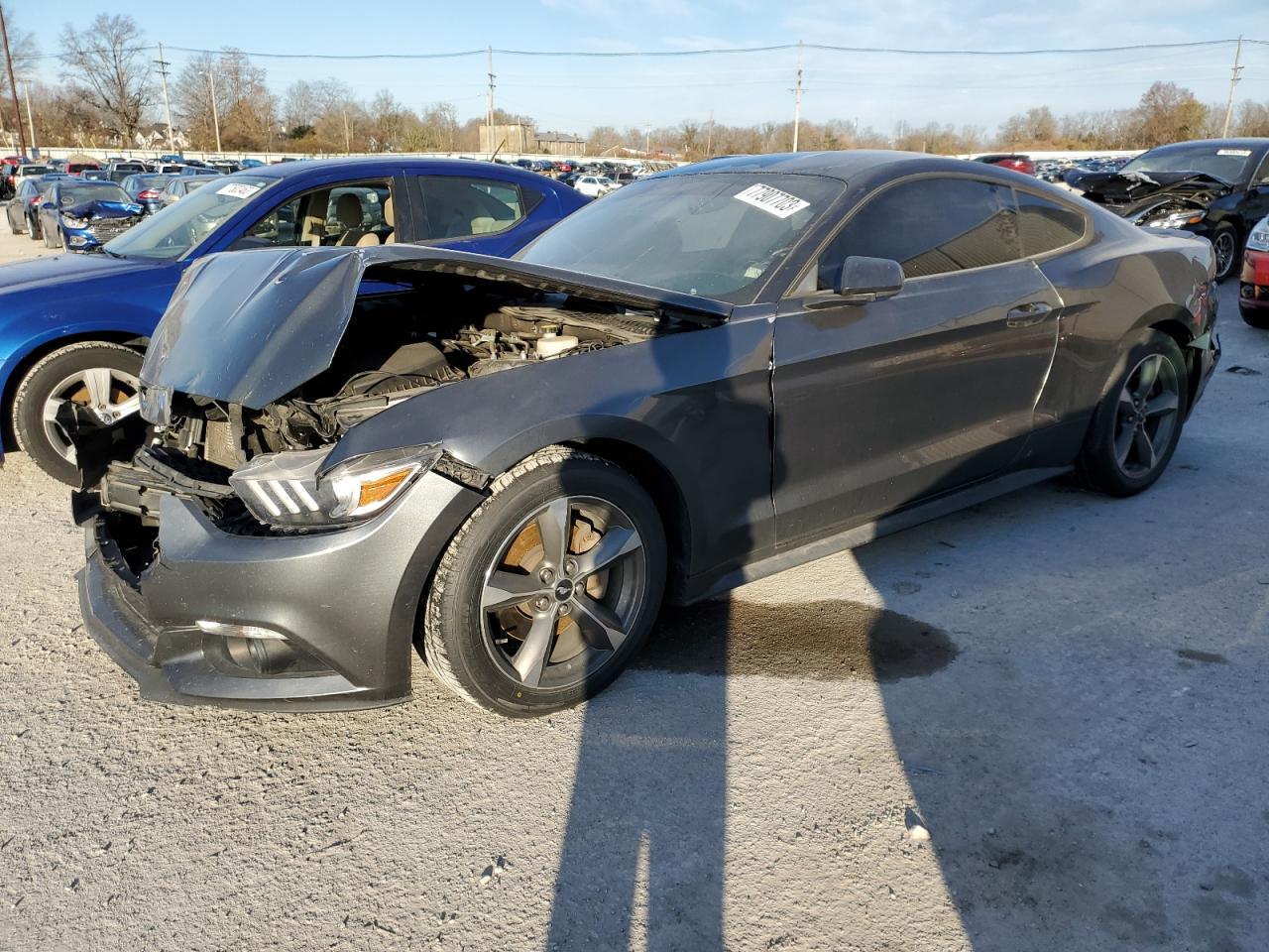 Lot #2549725937 2016 FORD MUSTANG