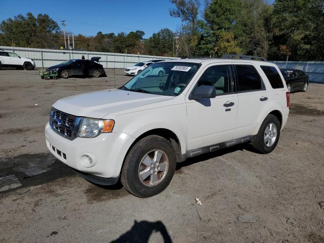 2010 Ford Escape XLT