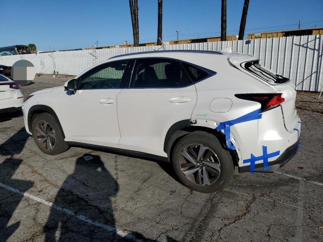 2020 LEXUS NX 300 JTJGARBZ1L5004834