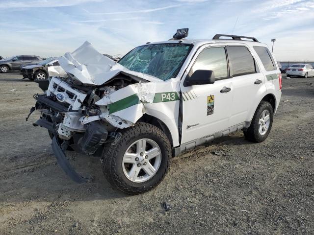 2009 Ford Escape Hybrid