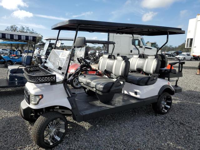 ASPT GOLF CART 2021 white   FLA116842 photo #3