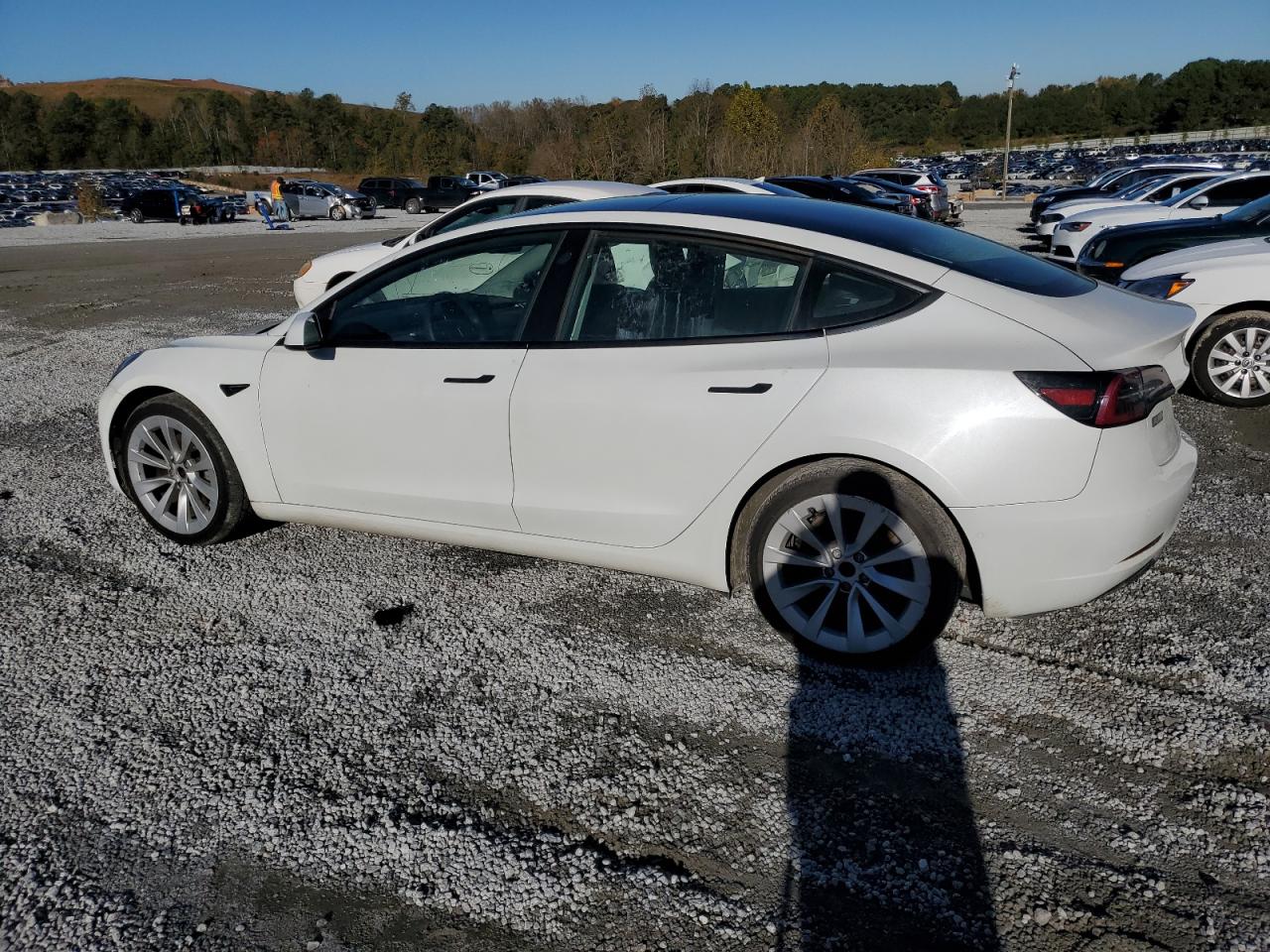 Lot #2979232969 2022 TESLA MODEL 3